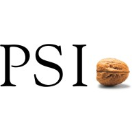 PSI Software – Grid & Energy Management