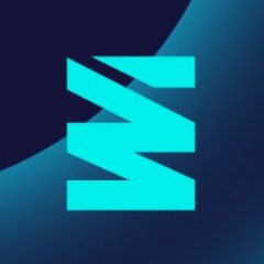 Witzenmann GmbH