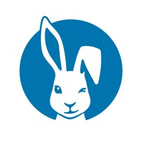 Schlafender Hase